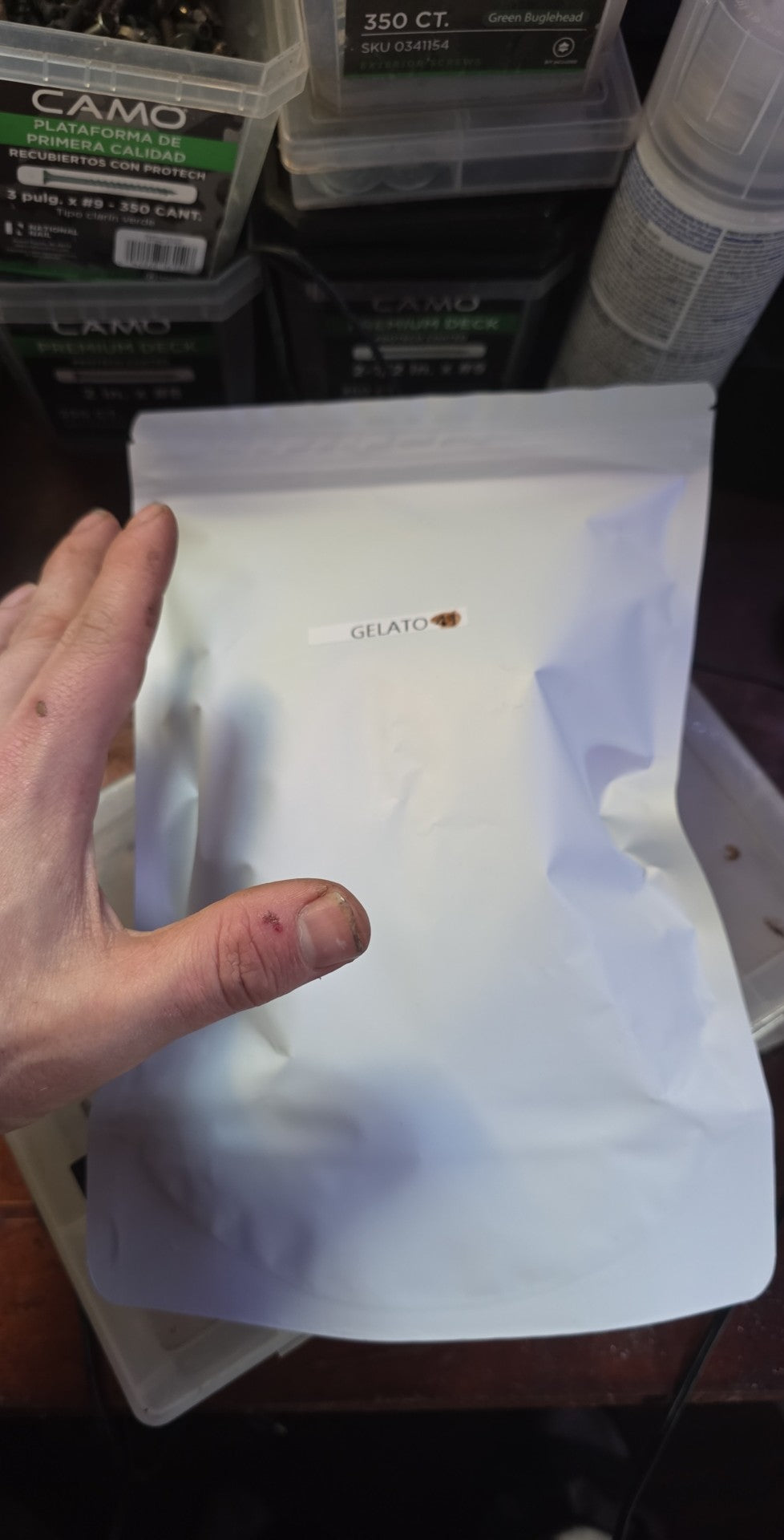 CoDeS inc Pick of the Week: Gelato 41