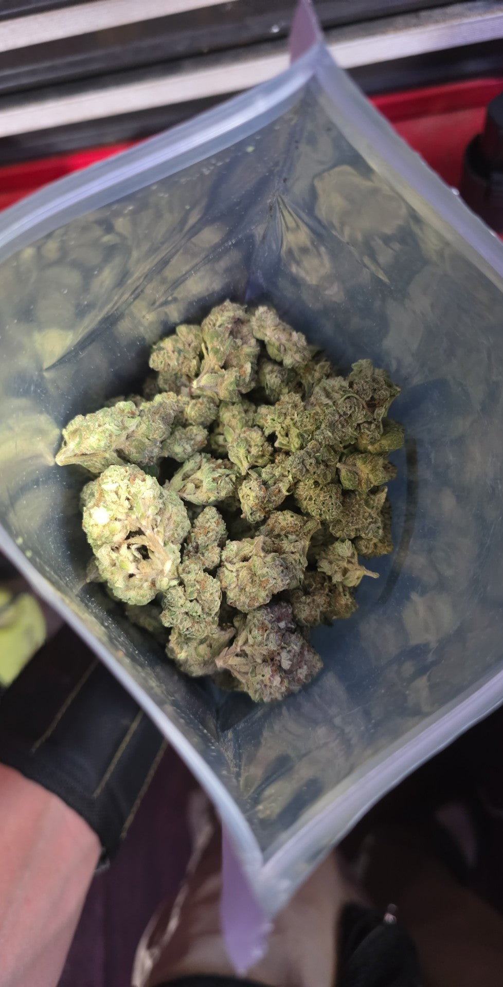 CoDeS inc Pick of the Week: Gelato 41