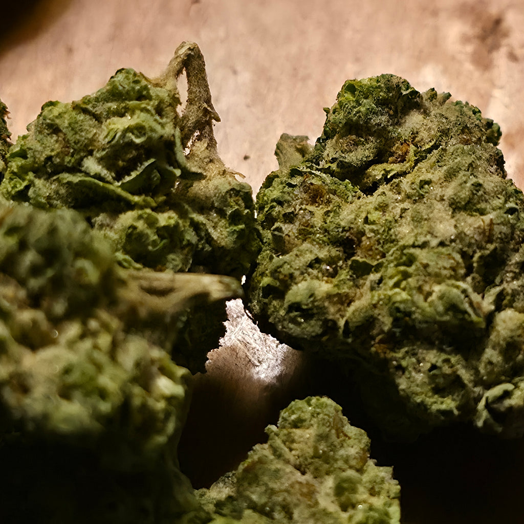 CoDeS inc Pick of the Week: Gelato 41