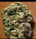 CoDeS inc Pick of the Week: Gelato 41