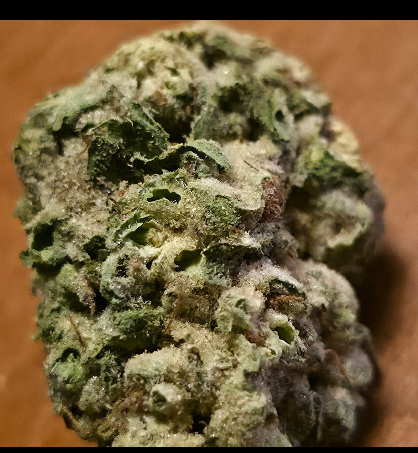 CoDeS inc Pick of the Week: Gelato 41